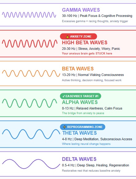 EEG Brainwave Patterns Infographic